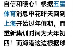 开云平台-申花中场坦言：我们需要更多团结