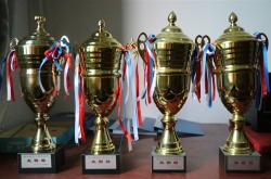 开云体育中国-澳洲选手逆风破浪，斩获金牌