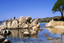 开云APP-哈斯车队翻盘阿斯顿马丁，皮亚斯特里统治全场