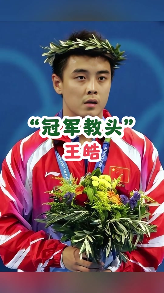 比利时乒乓球队力克韩国乒乓球队,王皓惊艳世界的简单介绍 比利时乒乓球队力克韩国乒乓球队,王皓惊艳世界的简单介绍